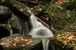 Great Smoky Mountains National Park